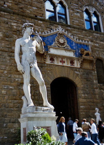 Michelangelo's David statue