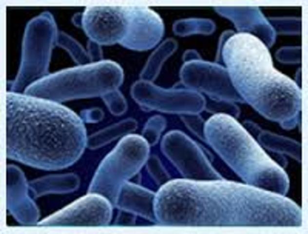 gastroenteritic outbreak in new york