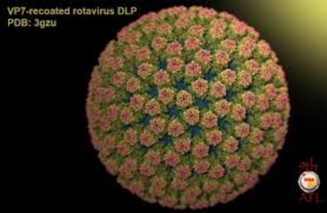 outbreak of rotavirus