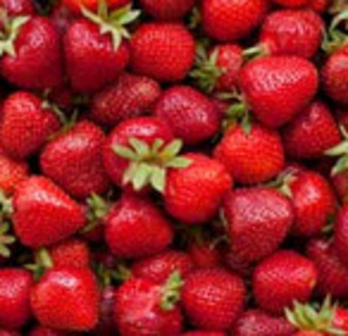 Frozen Strawberry Scare