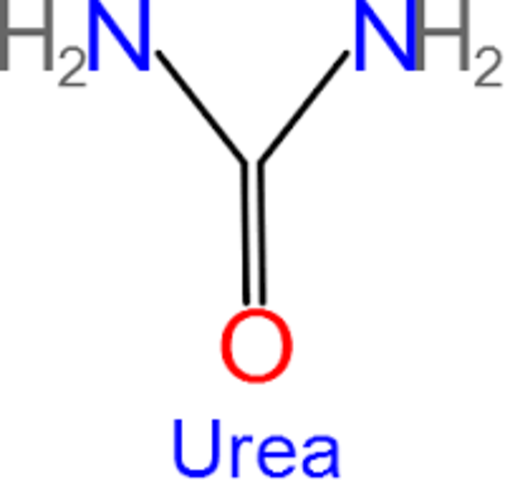 La urea