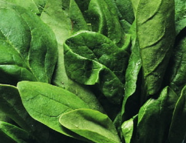 Dole Baby Spinach E. Coli Outbreak