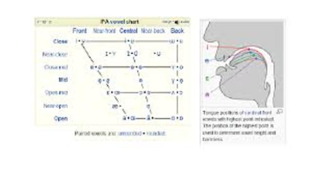 Great Vowel Shift (GVS)