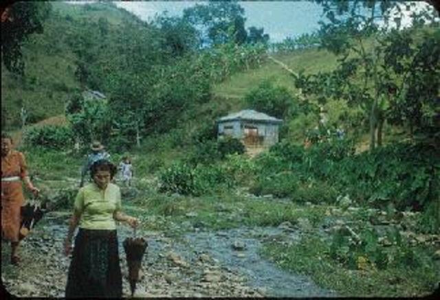 Surge la semilla de la emigración