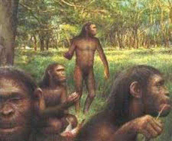 Factores que provocaron un cambio