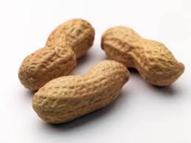 Samonella In Peanuts outbreak