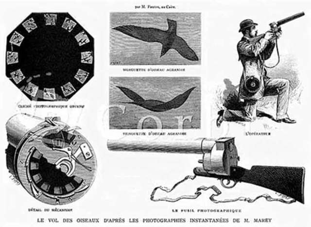 Chronophotographic  was invented