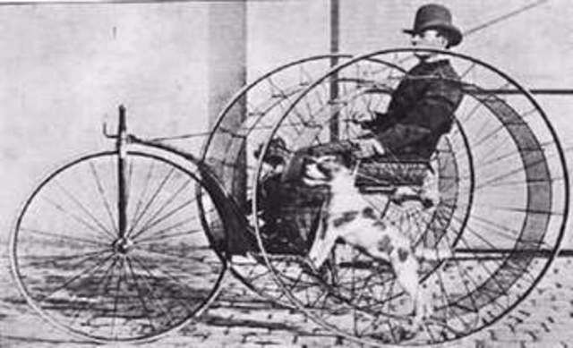 Desarrollo posterior