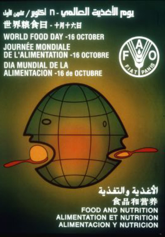 Alimentación y nutrición