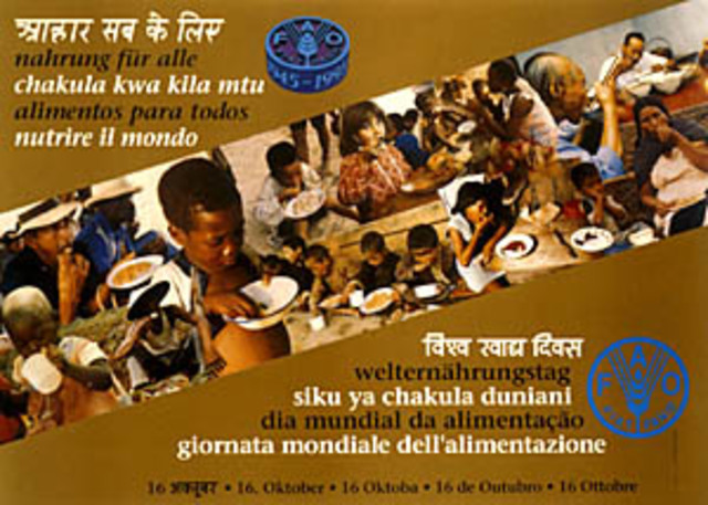 Alimentos para todos