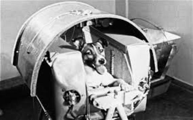 First Animal in Space