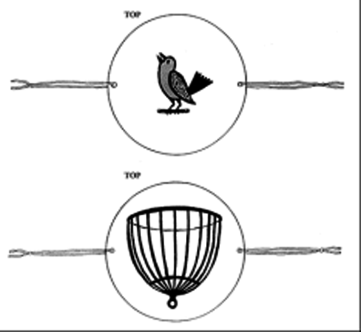 Thaumatrope credited by  Sir John Herschel,