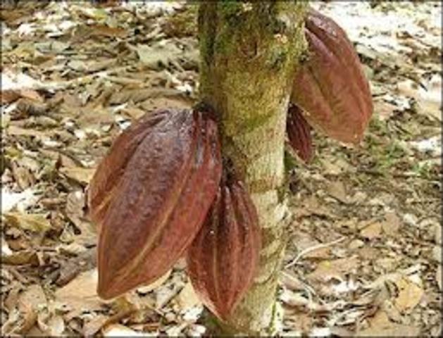Port of Buenos Aires