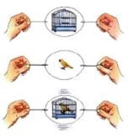 The Thaumatrope was credited to  Sir John Hersche