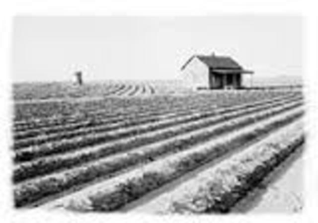 agricultural production Increases.