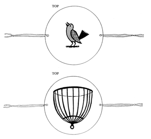 John Ayertonaris created the Thaumatrope