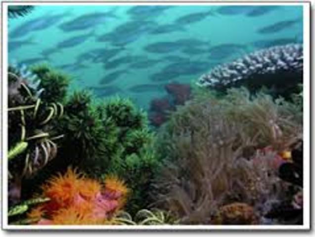 At The Pulua Airabu islands