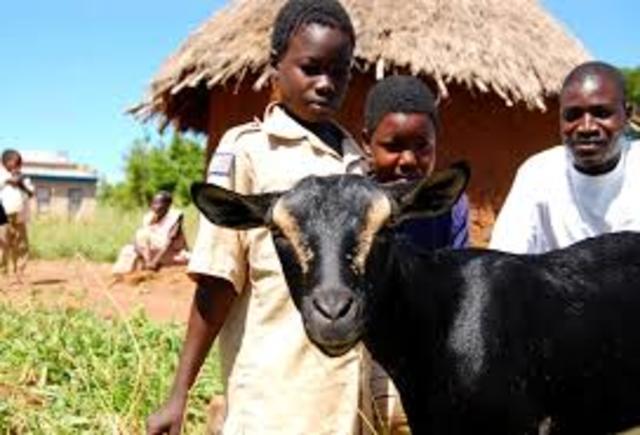 Land Has Been Spotted