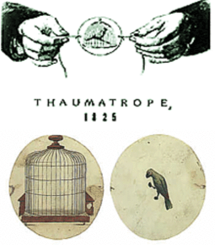 Thaumatrope was created by John ayerton