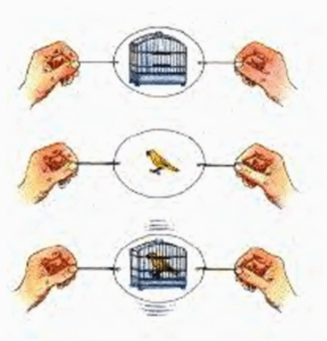 Invention of the Thaumatrope