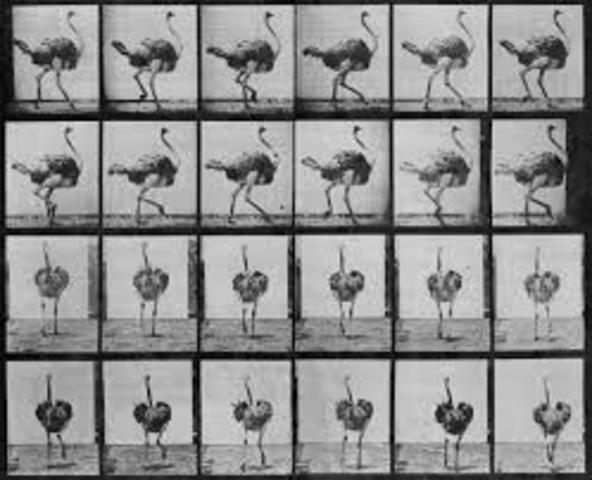Eadweard Muybridge