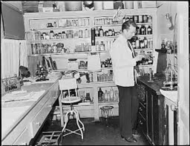 Starting of a Business