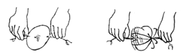 Thaumatrope Created by Sir John Herschel