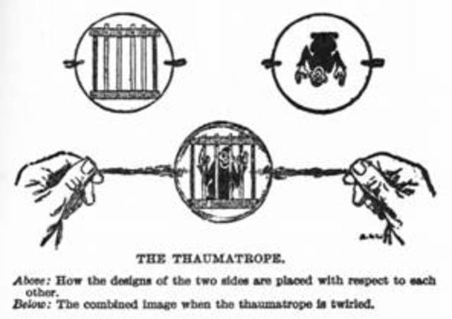thaumatrope