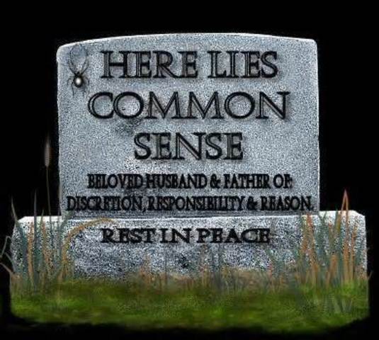 Common Sense