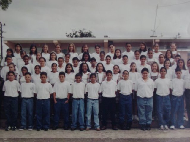 Estudios Elementales