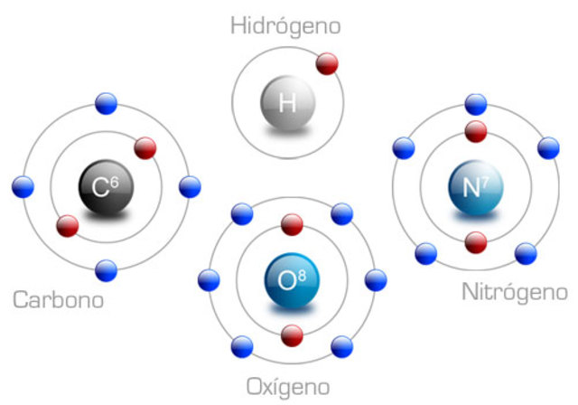 COMPONONTES PRIMARIOS