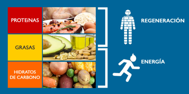 FUNCION DE LOS COMPONENTES