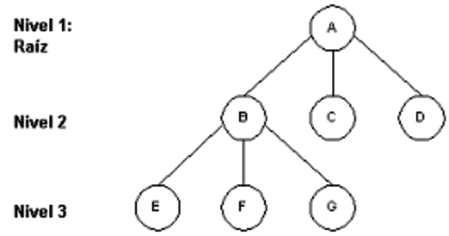 bases de datos relacionales contra jerarquicas