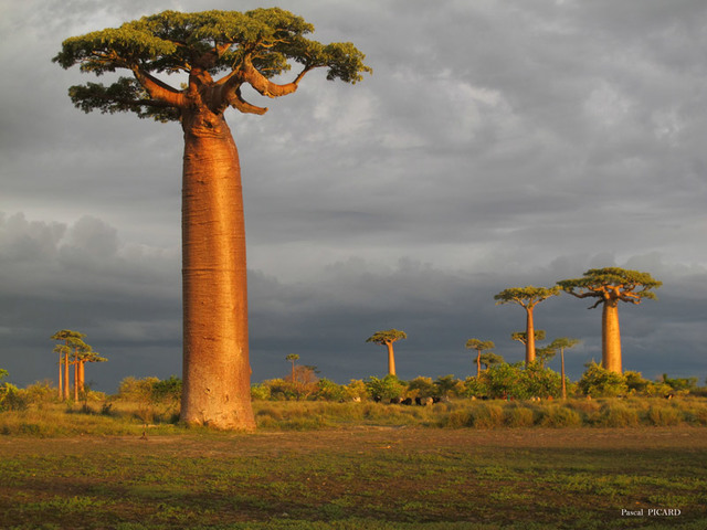Ariving in Tolira, Madagasgar