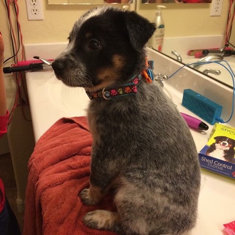 Oso got his best friend!