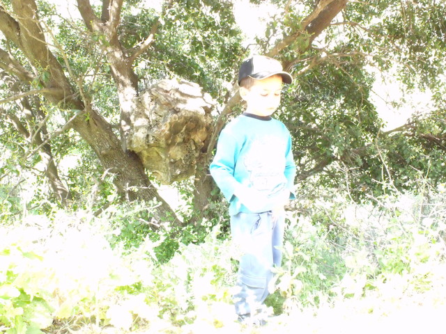 שהייתי בן שש (הייתי עוד פעם באיזשהו יער)