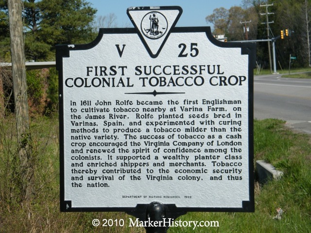 John Rolfe grew a successful crop of tobacco in Virginia.