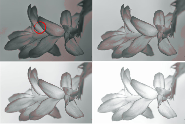 Improvement Of Photography By George Eastman