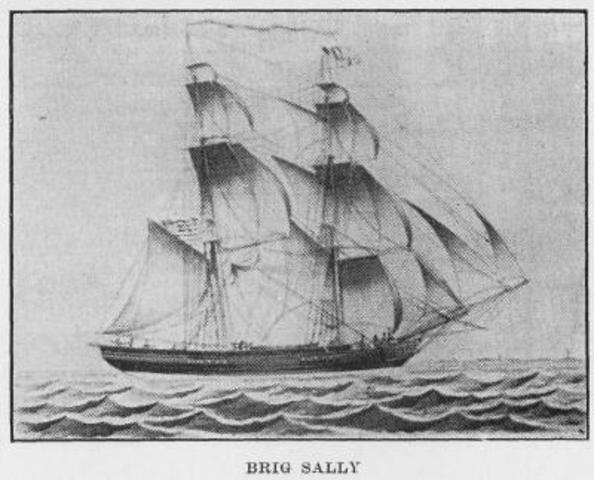 3 ship[s are sent to the Caribbean. 2 of them are to sell horses and the third, named the "Sally", is first to go to West Africa to aquirre slaves that will be sold to British colonies in the Caribbean.