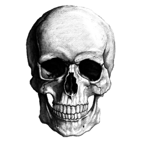 1er Año de Secundaria