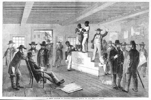 The Brown's big voyage in summer