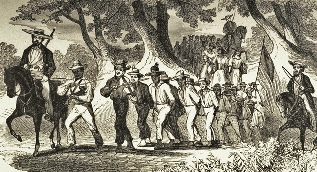 The trip of the Browns to the country of Guinea on the Sally