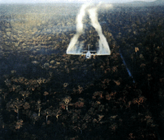 US Begins To Use Defoliants