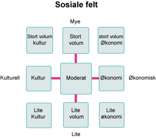 Markedsinformasjonssystemer