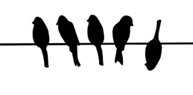 Anormalidad y normalidad