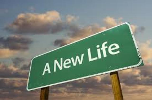 new life