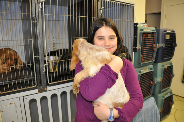 Yo conseguí mi perro segundo