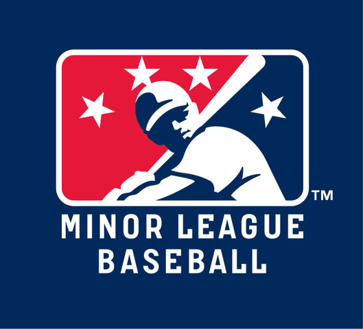 The Minor League was formed