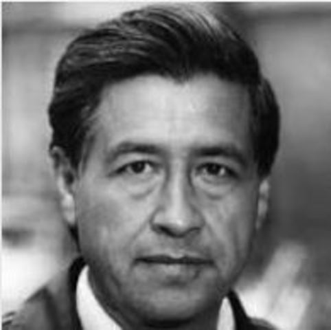 Cesar Chavez born in Arizona