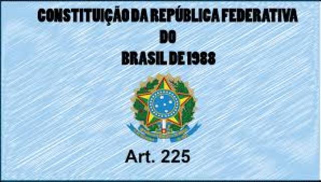 Constituição Federal reformulada